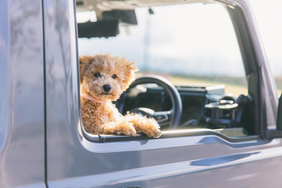 F-BOX BASE（アトレー）の商品画像00